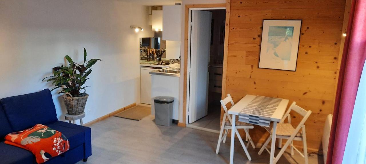 Studio Au Pied Des Montagnes Le Bourg-dʼOisans Exterior foto